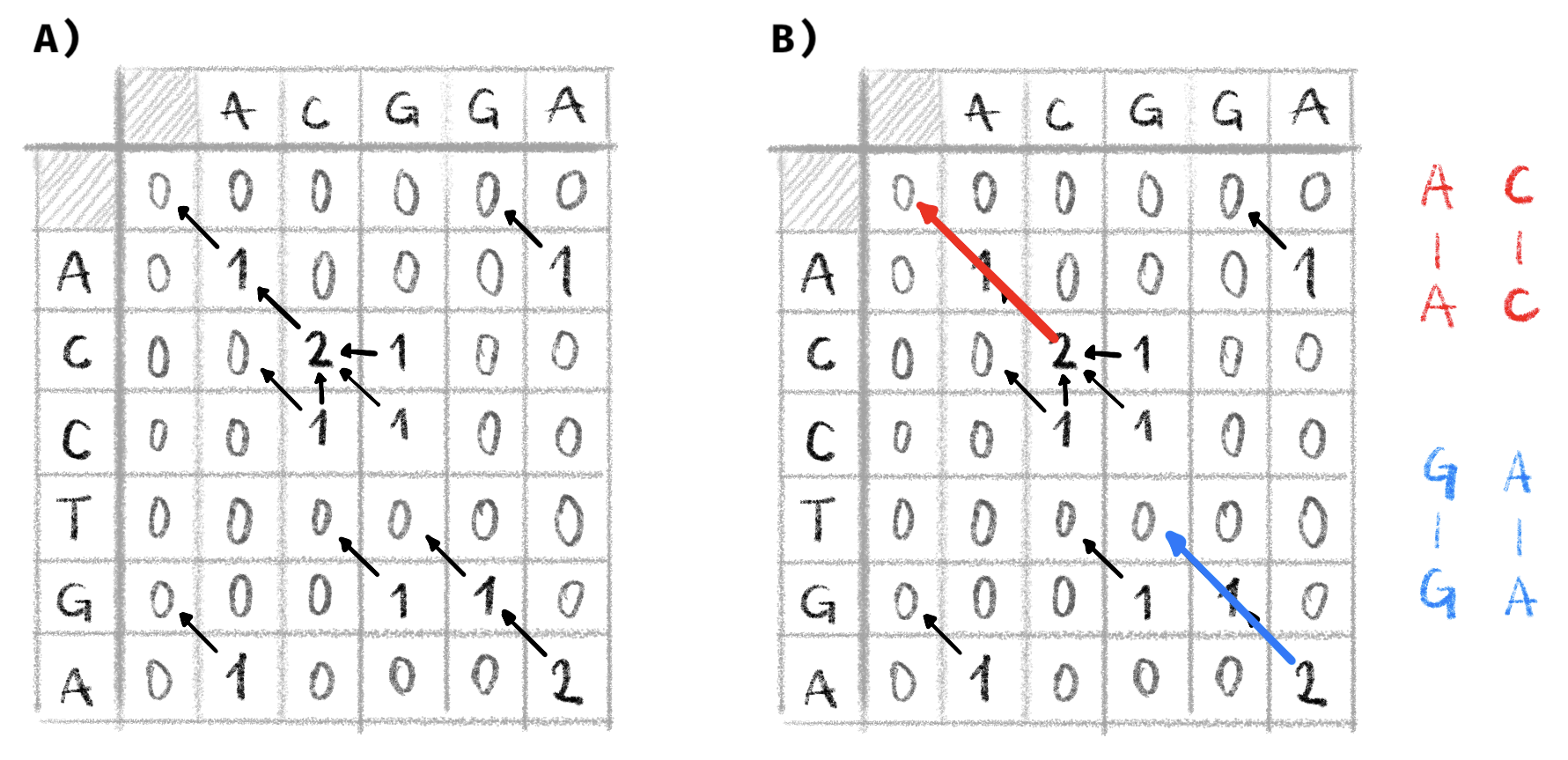 **Example local alignment with the Smith-Waterman algorithm.**  
Two sequences $S_1$ and $S_2$ (the same as in Figure \@ref(fig:nwAlign)) are locally aligned. A match has a cost of +1, a mismatch a cost of -1 and indels a cost of -1. **A)** The dynamic programming matrix is filled out and the alignment graph constructed. Alignment scores are constrained to be non-negative. **B)** We find paths in the graph between the vertex with the maximal score and one with a score of 0. Here there are two such paths resulting in two optimal local alignments represented on the right.