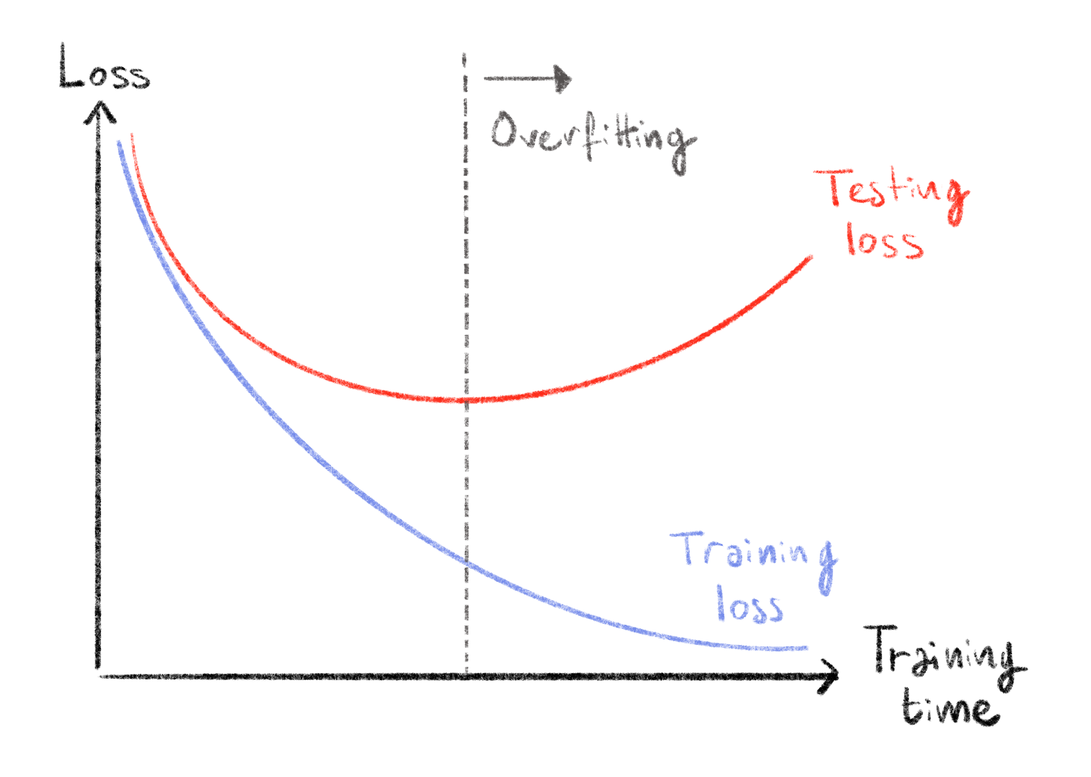 **Overfitting behaviour in loss functions.**  
The two curves show how the loss calculated on the training set (blue) and the testing set (red) evolve as training time increases. At first both decrease showing that the model learns informative and generalizable features. At some point, training loss keeps decreasing and testing loss increases, meaning that the model is learning over-specific features on the training set and is no longer generalizable: it is overfitting.